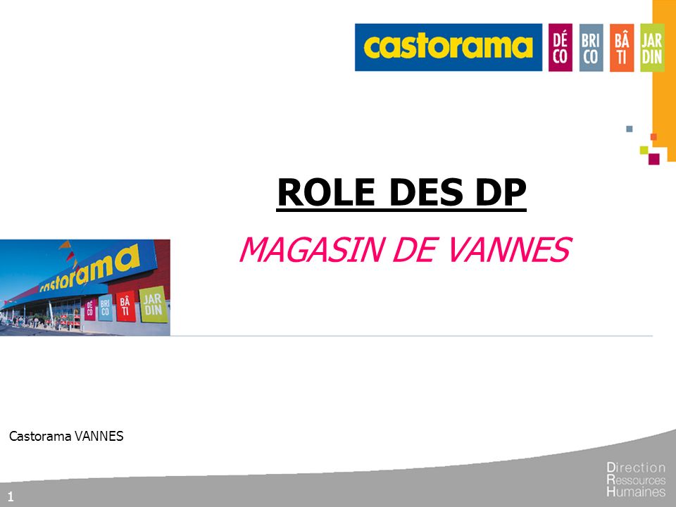 ROLE DES DP MAGASIN DE VANNES