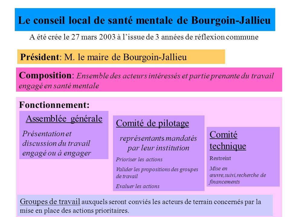 Le conseil local de santé mentale de Bourgoin-Jallieu