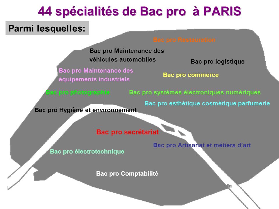 44 spécialités de Bac pro à PARIS