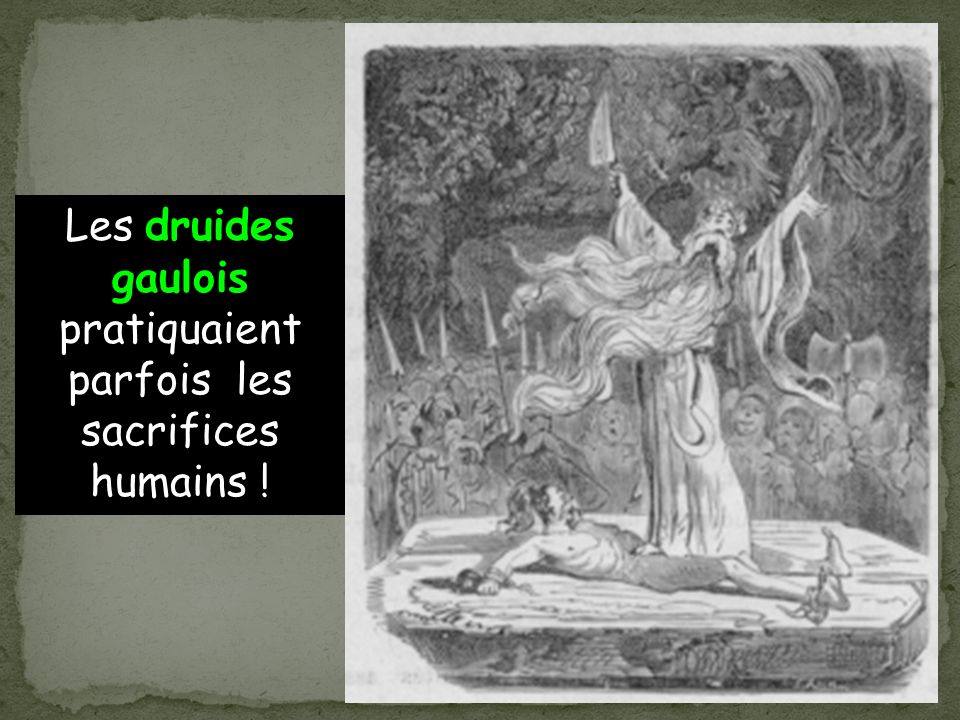 Les druides gaulois pratiquaient parfois les sacrifices humains !