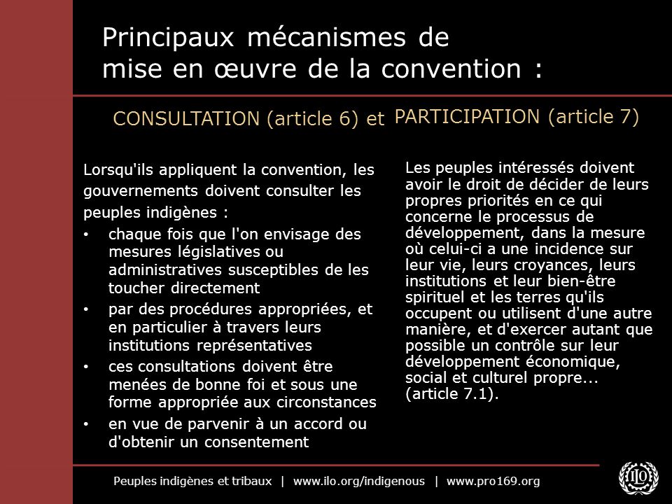 Principaux mécanismes de mise en œuvre de la convention :