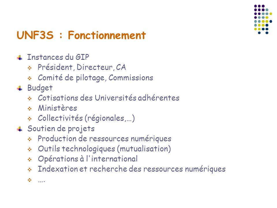 UNF3S : Fonctionnement Instances du GIP Président, Directeur, CA