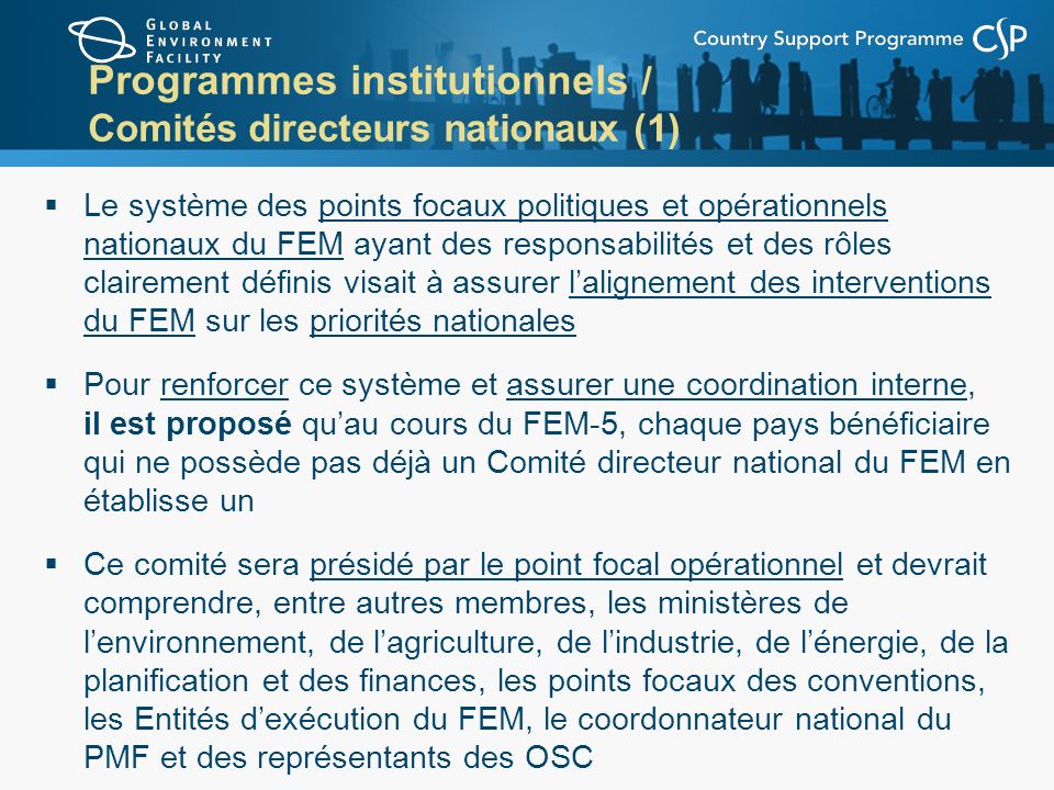 Programmes institutionnels / Comités directeurs nationaux (1)