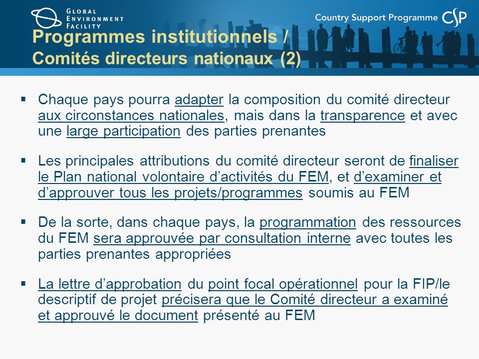 Programmes institutionnels / Comités directeurs nationaux (2)