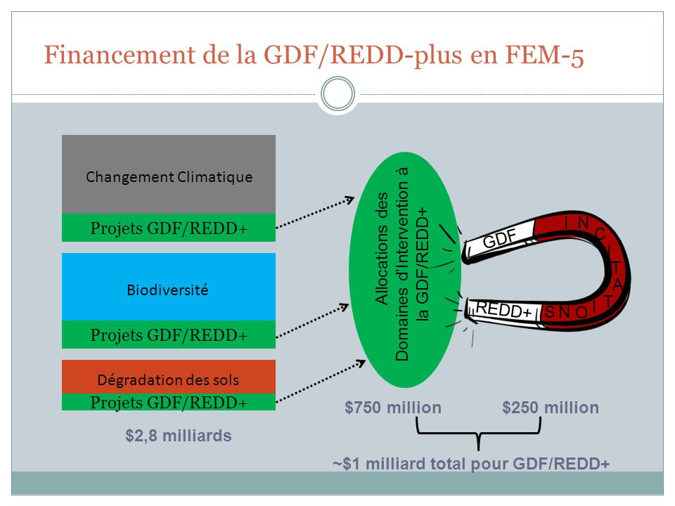 Financement de la GDF/REDD-plus en FEM-5