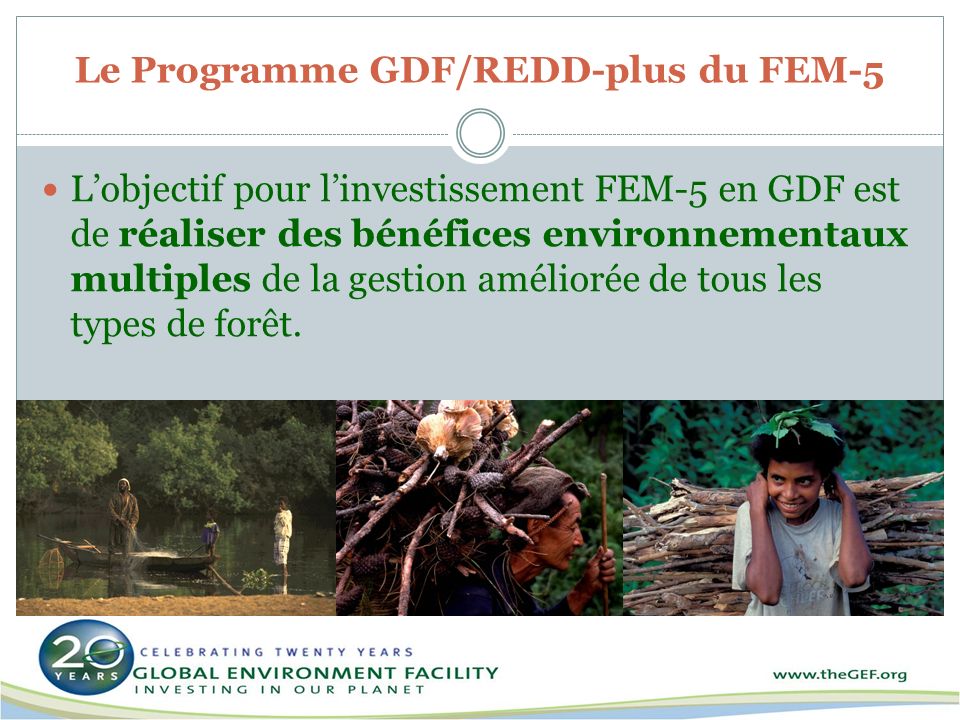 Le Programme GDF/REDD-plus du FEM-5