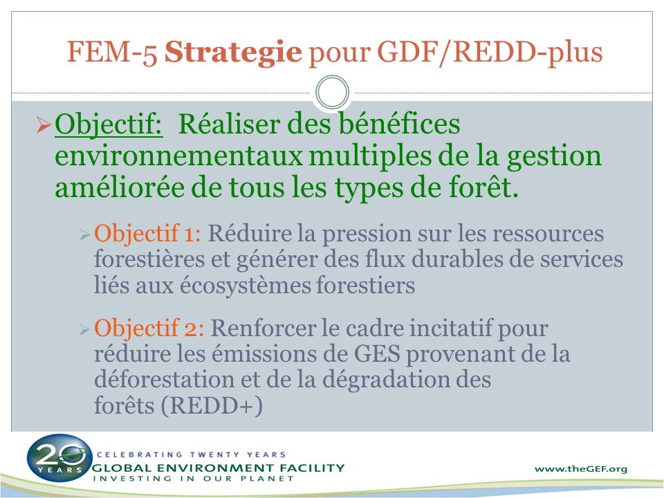 FEM-5 Strategie pour GDF/REDD-plus