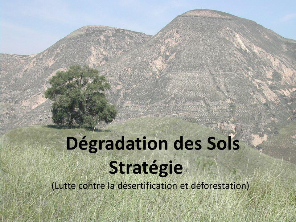 Dégradation des Sols Stratégie (Lutte contre la désertification et déforestation)