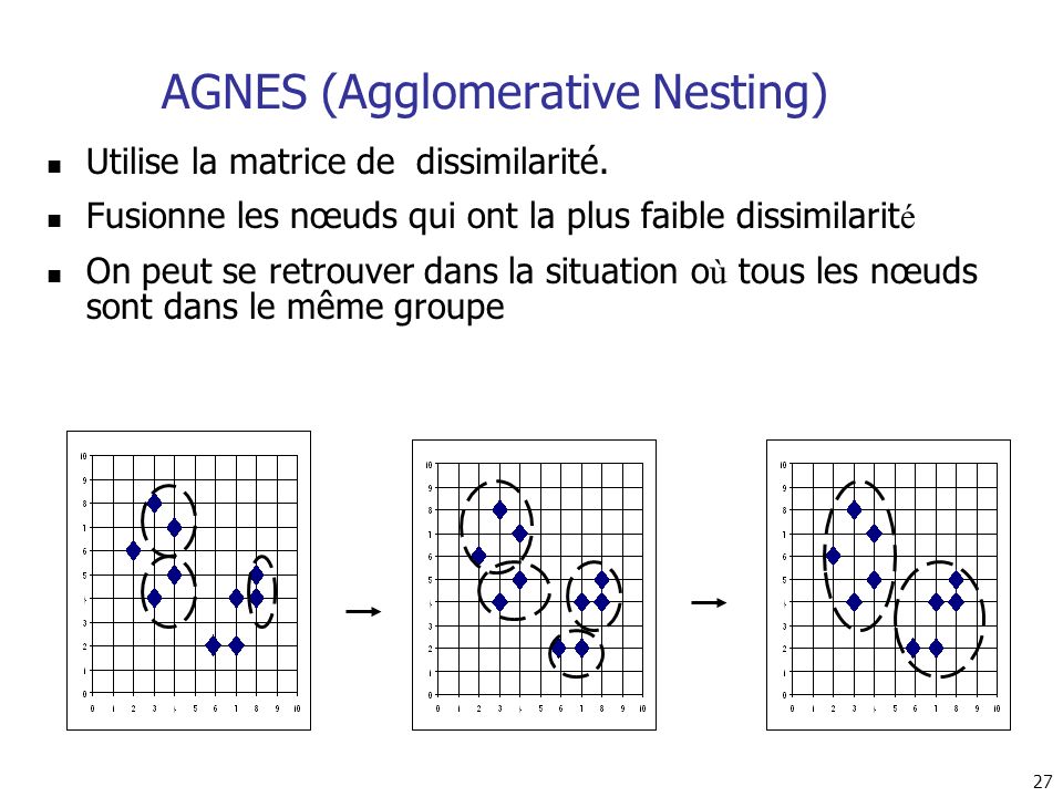 AGNES (Agglomerative Nesting)
