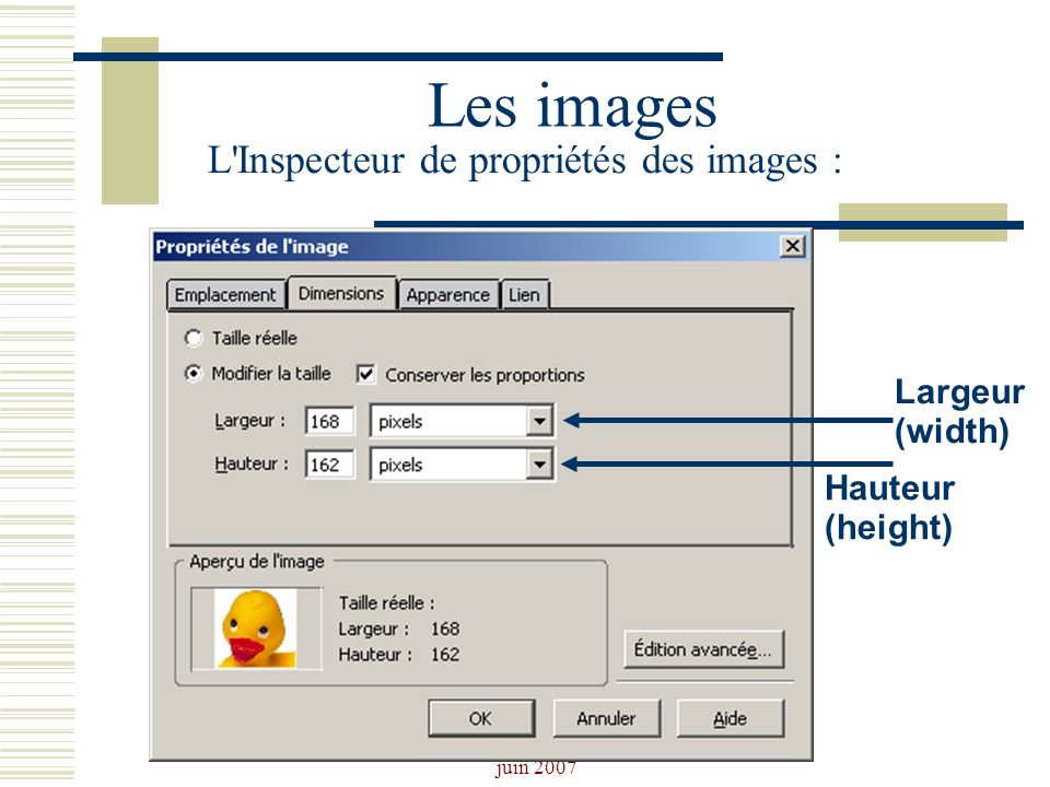Les images L Inspecteur de propriétés des images : Largeur(width)