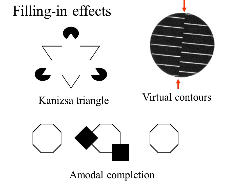 Filling-in effects Virtual contours Kanizsa triangle Amodal completion