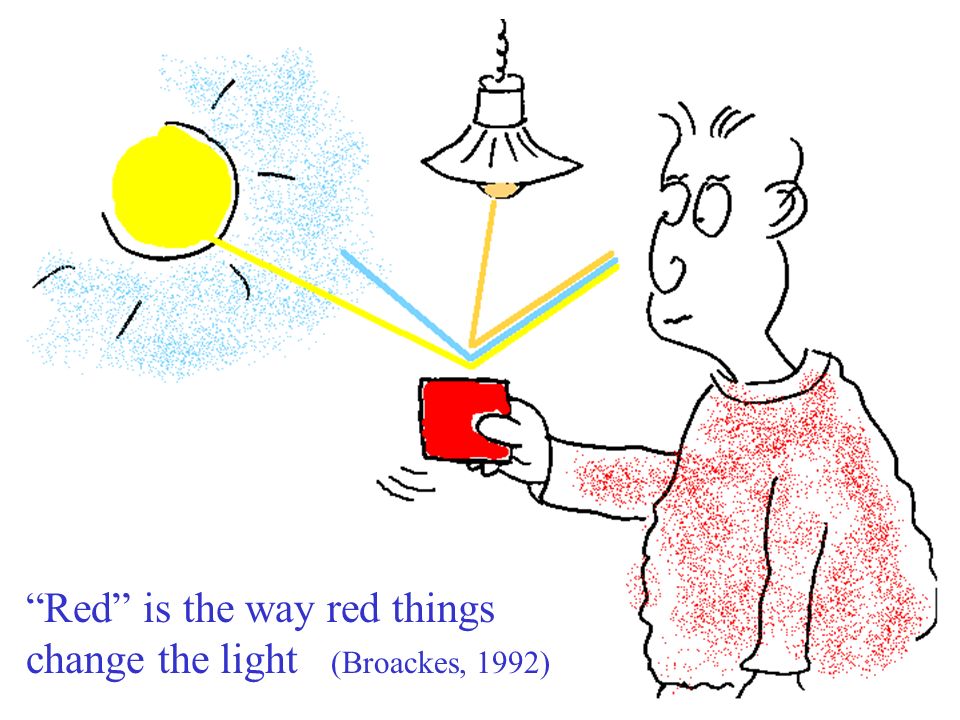 Red is the way red things change the light (Broackes, 1992)