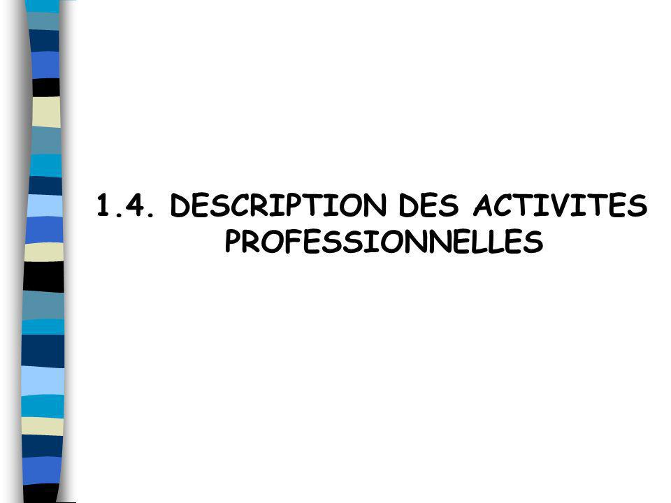 1.4. DESCRIPTION DES ACTIVITES PROFESSIONNELLES