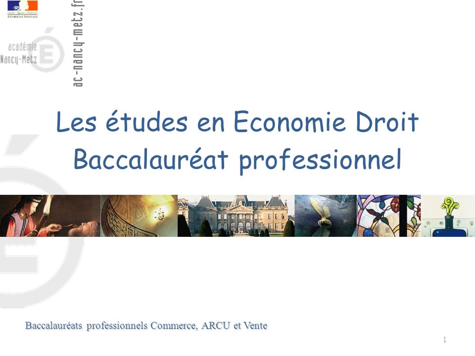 Les études en Economie Droit Baccalauréat professionnel
