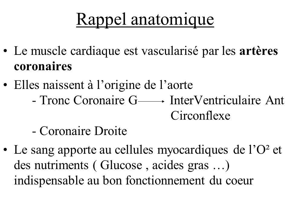 Rappel anatomique Le muscle cardiaque est vascularisé par les artères coronaires.