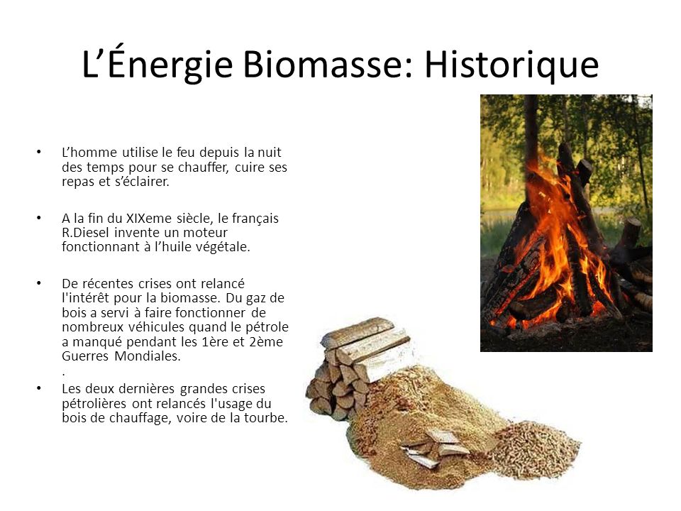 L’Énergie Biomasse: Historique