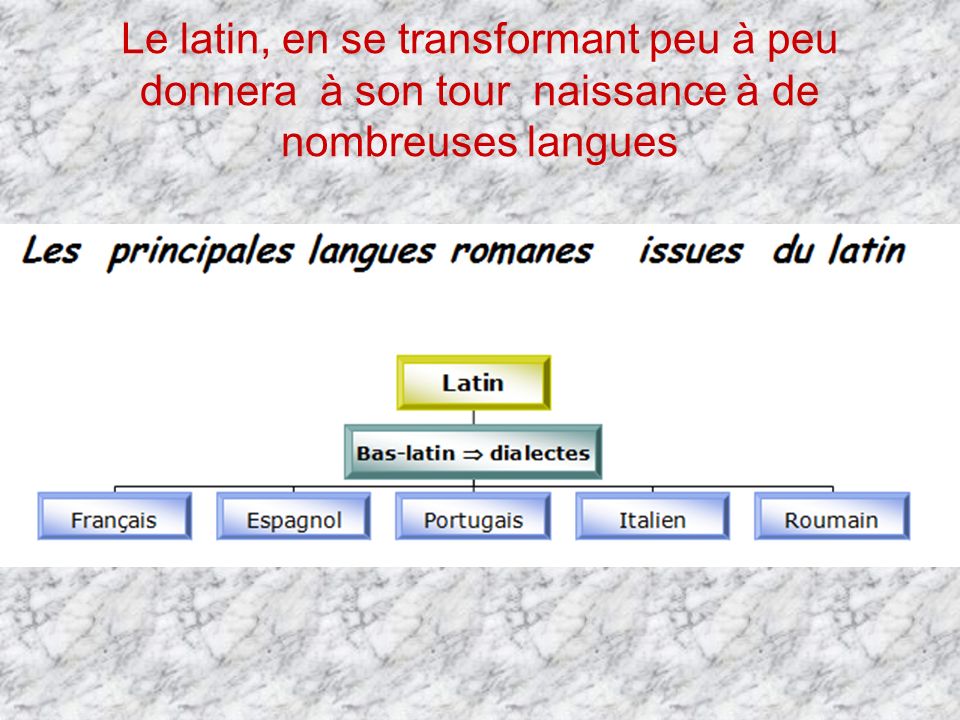 Le latin, en se transformant peu à peu donnera à son tour naissance à de nombreuses langues