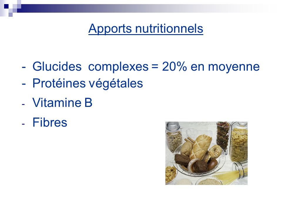 Apports nutritionnels