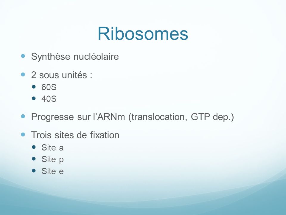 Ribosomes Synthèse nucléolaire 2 sous unités :