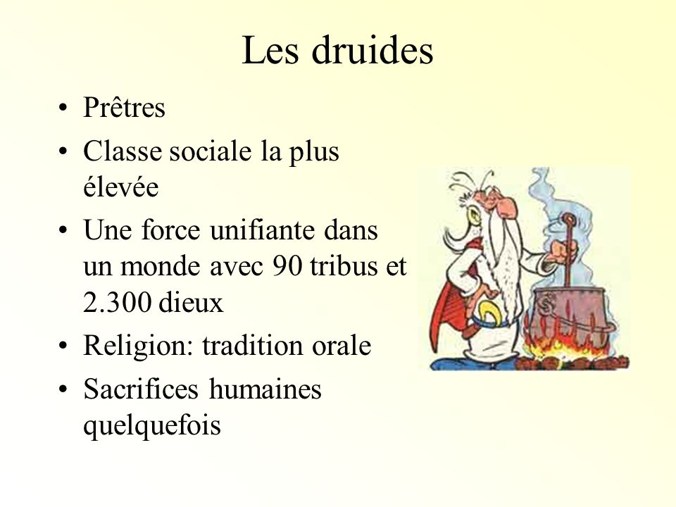 Les druides Prêtres Classe sociale la plus élevée