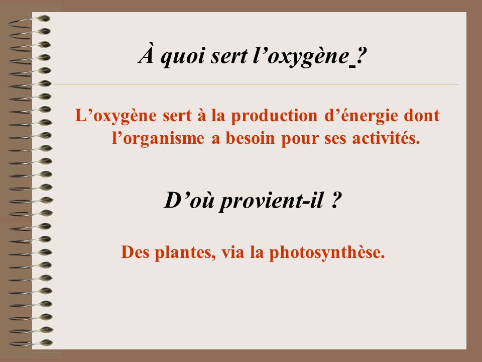Des plantes, via la photosynthèse.