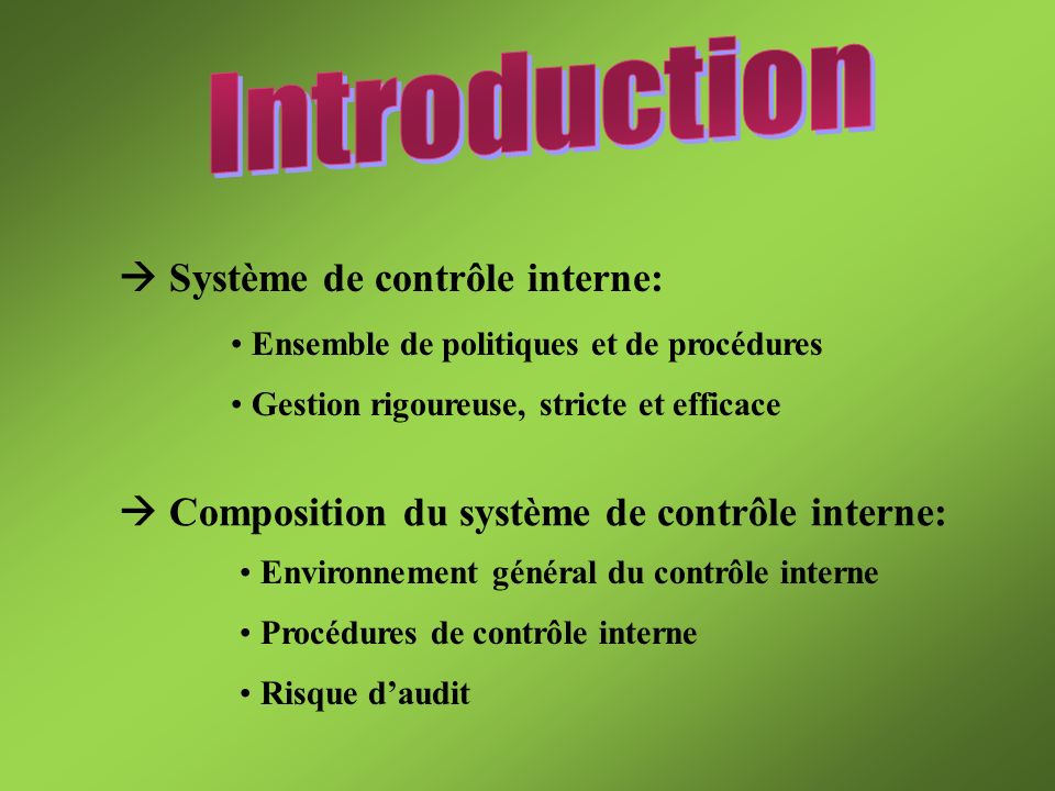 Introduction  Système de contrôle interne: