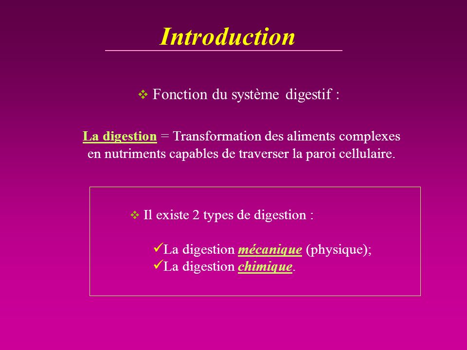 Introduction Fonction du système digestif :