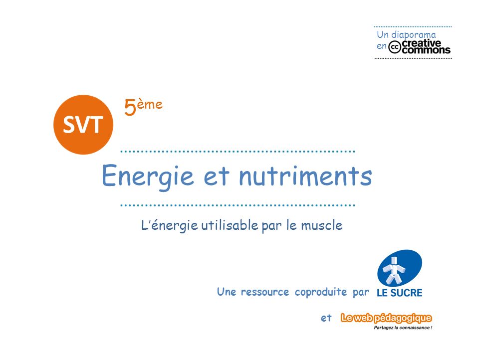 5ème SVT Energie et nutriments L’énergie utilisable par le muscle