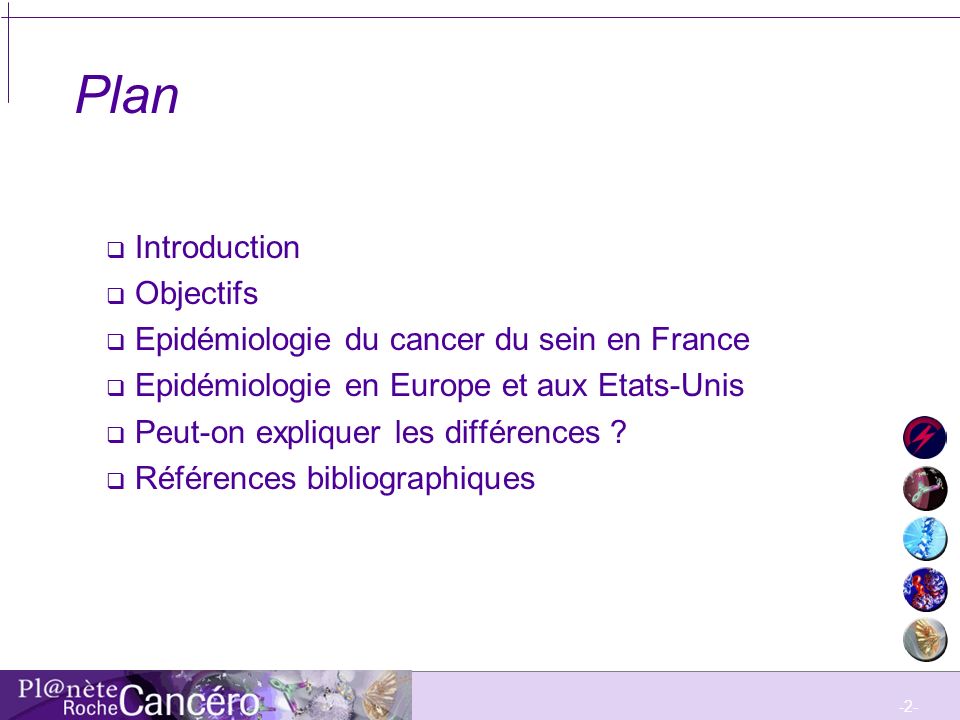 Plan Introduction Objectifs Epidémiologie du cancer du sein en France