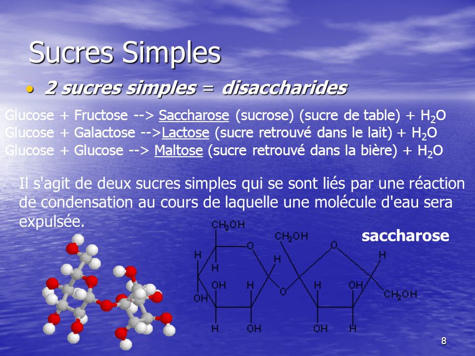 Sucres Simples 2 sucres simples = disaccharides