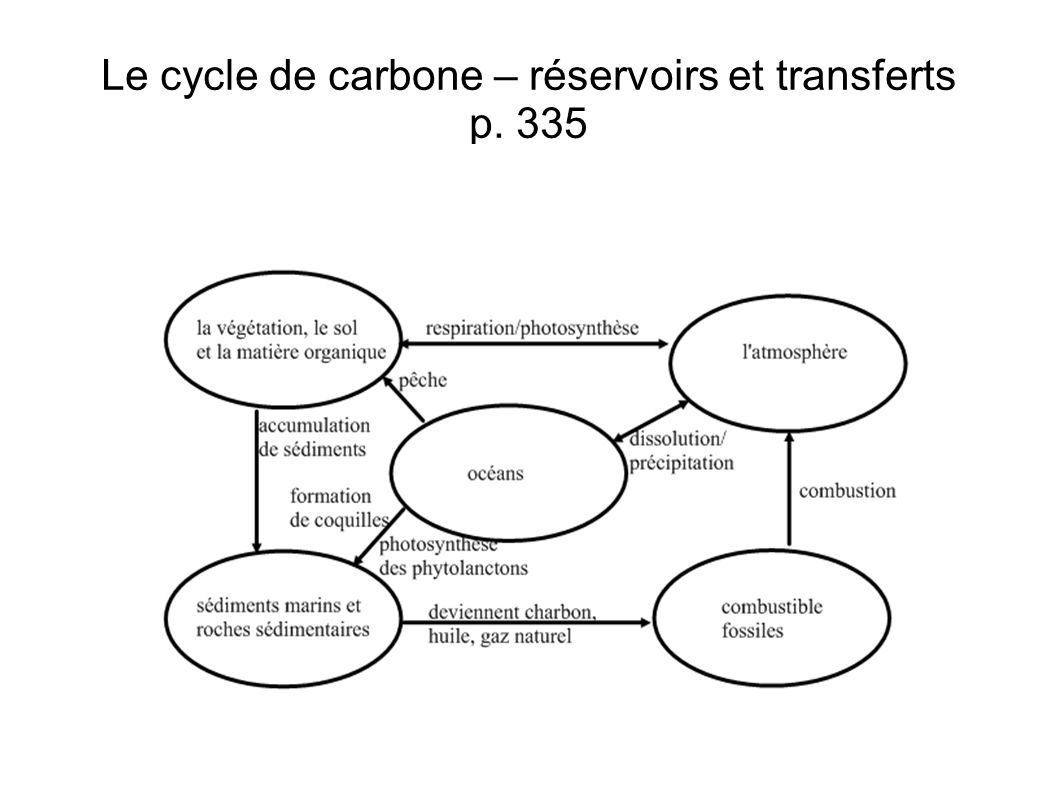 Le cycle de carbone – réservoirs et transferts p. 335