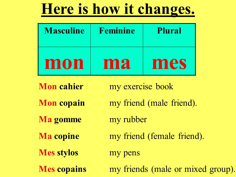 mon ma mes Here is how it changes. Masculine Feminine Plural