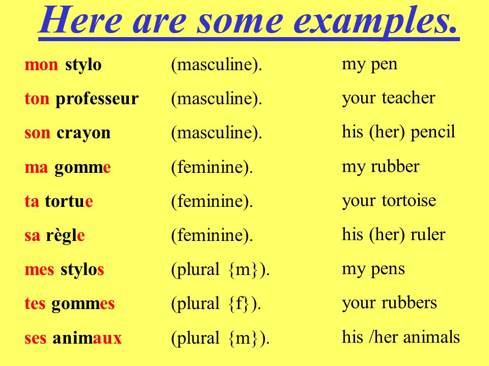 Here are some examples. mon stylo (masculine). my pen