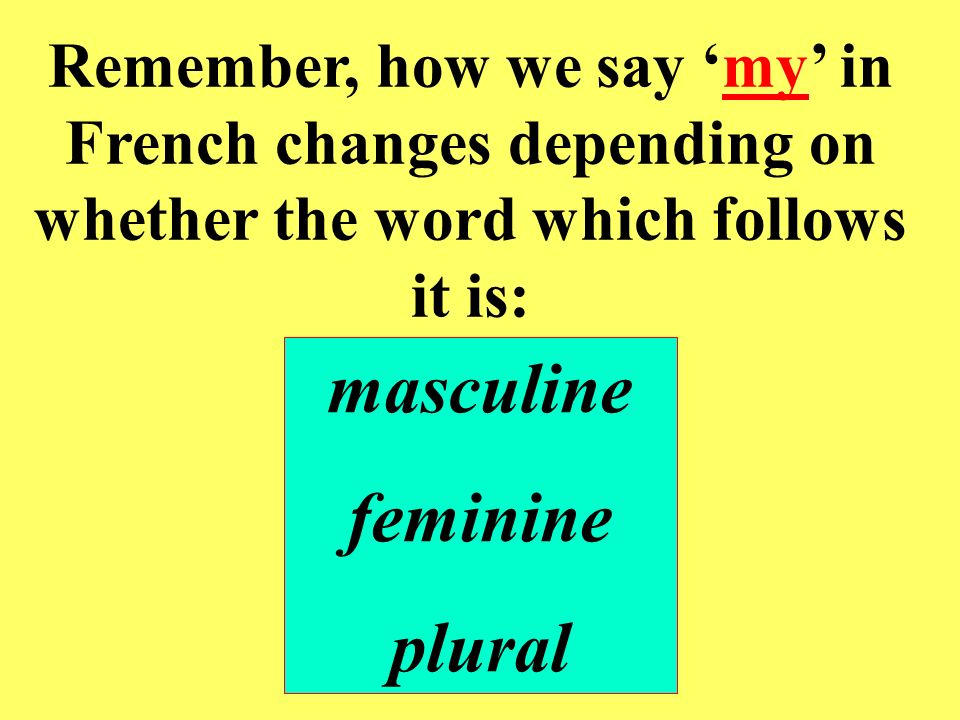 masculine feminine plural