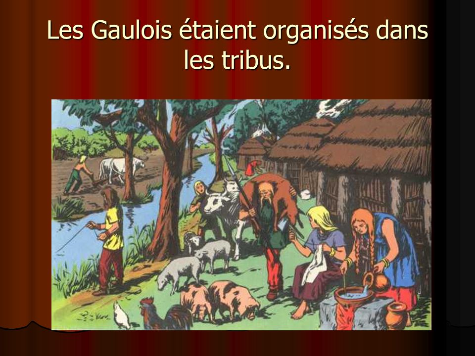 Les Gaulois étaient organisés dans les tribus.