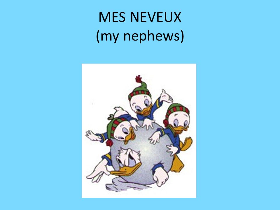 MES NEVEUX (my nephews)