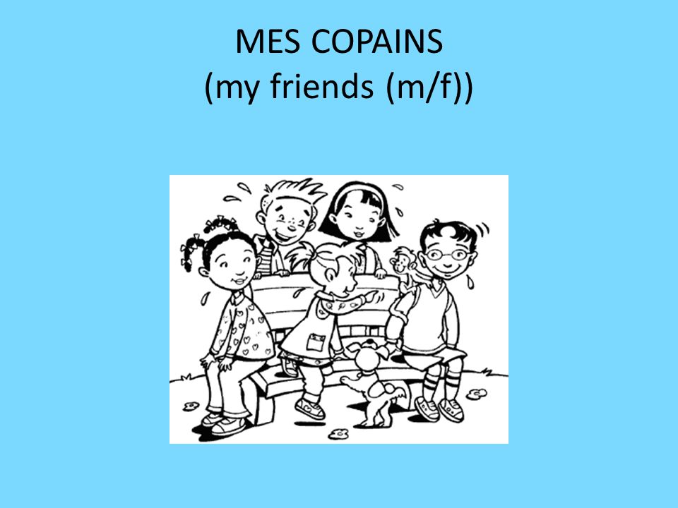MES COPAINS (my friends (m/f))
