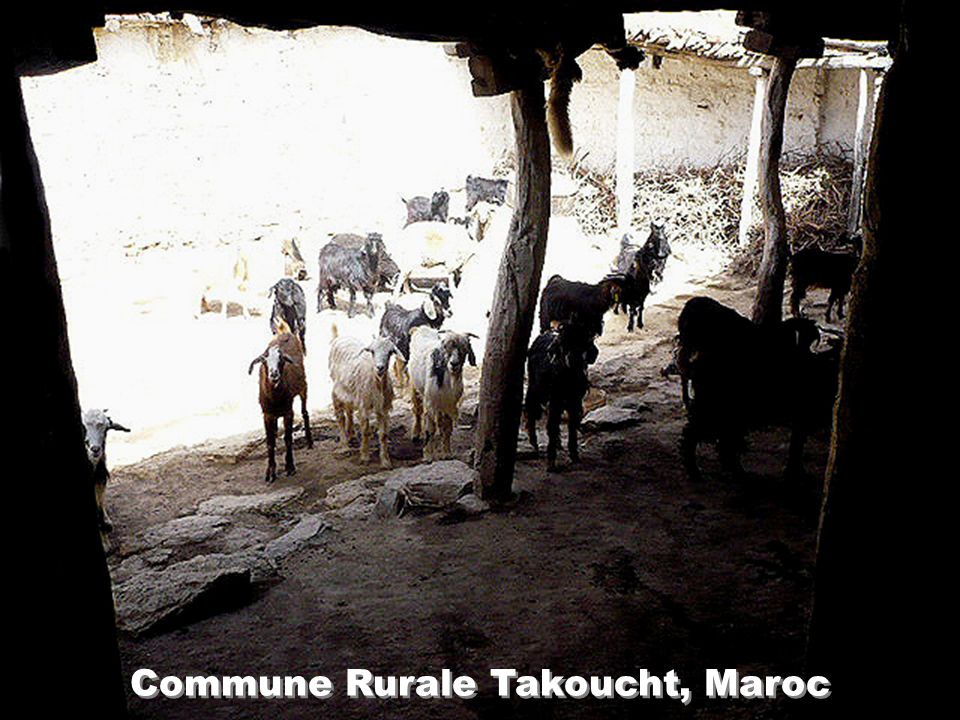 Commune Rurale Takoucht, Maroc