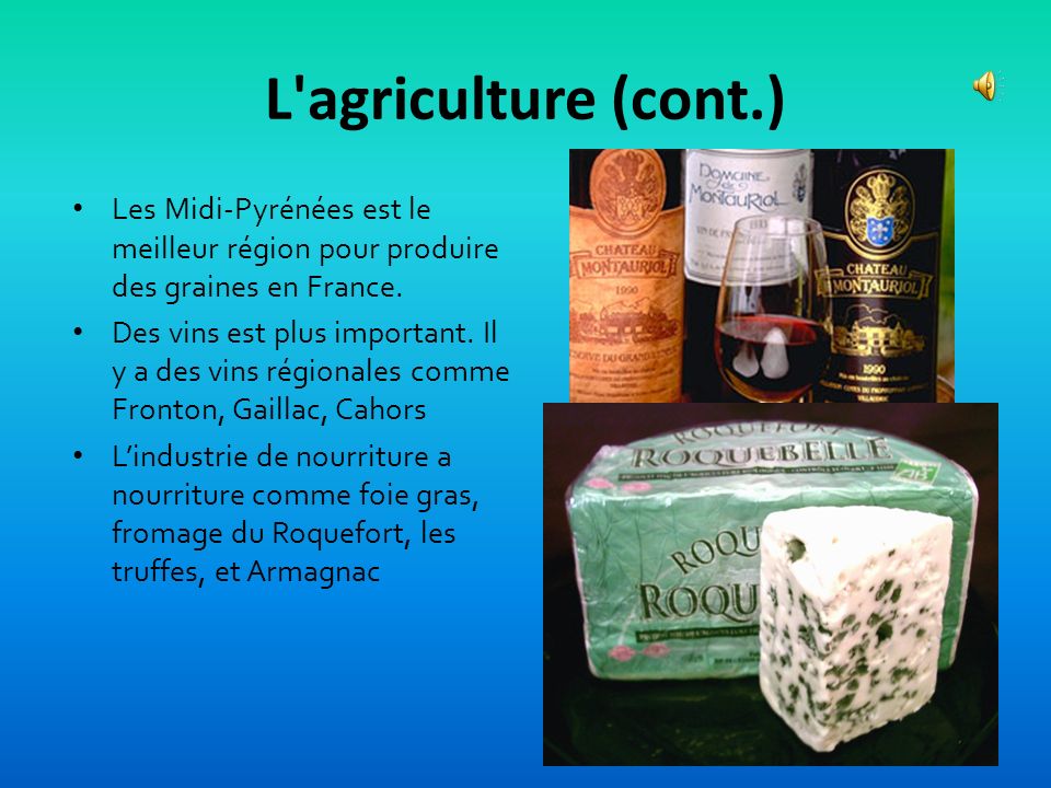 L agriculture (cont.) Les Midi-Pyrénées est le meilleur région pour produire des graines en France.