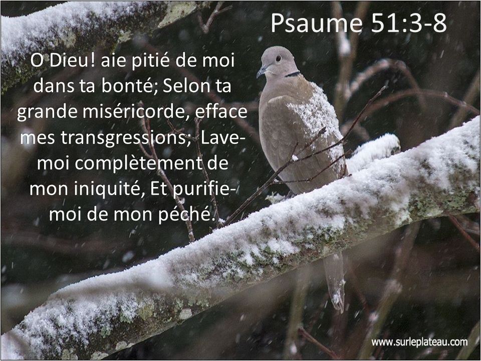 Psaume 51:3-8