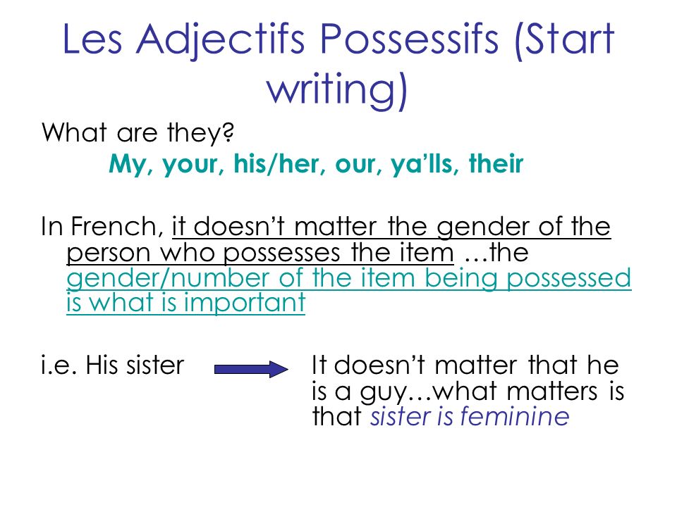 Les Adjectifs Possessifs (Start writing)