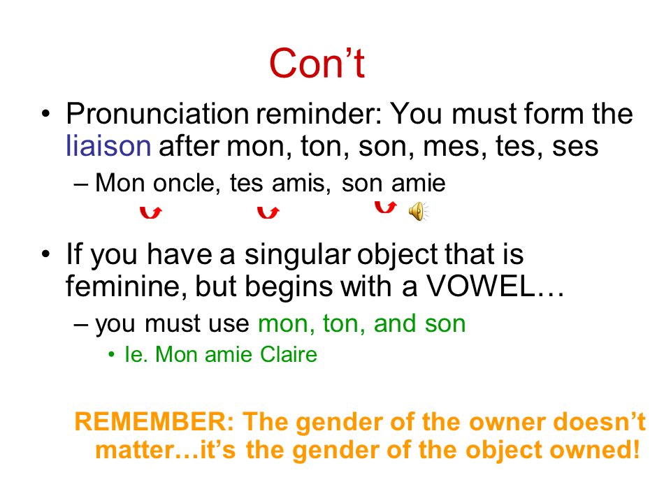 Con’t Pronunciation reminder: You must form the liaison after mon, ton, son, mes, tes, ses. Mon oncle, tes amis, son amie.