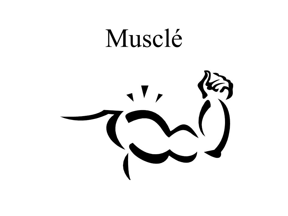 Musclé