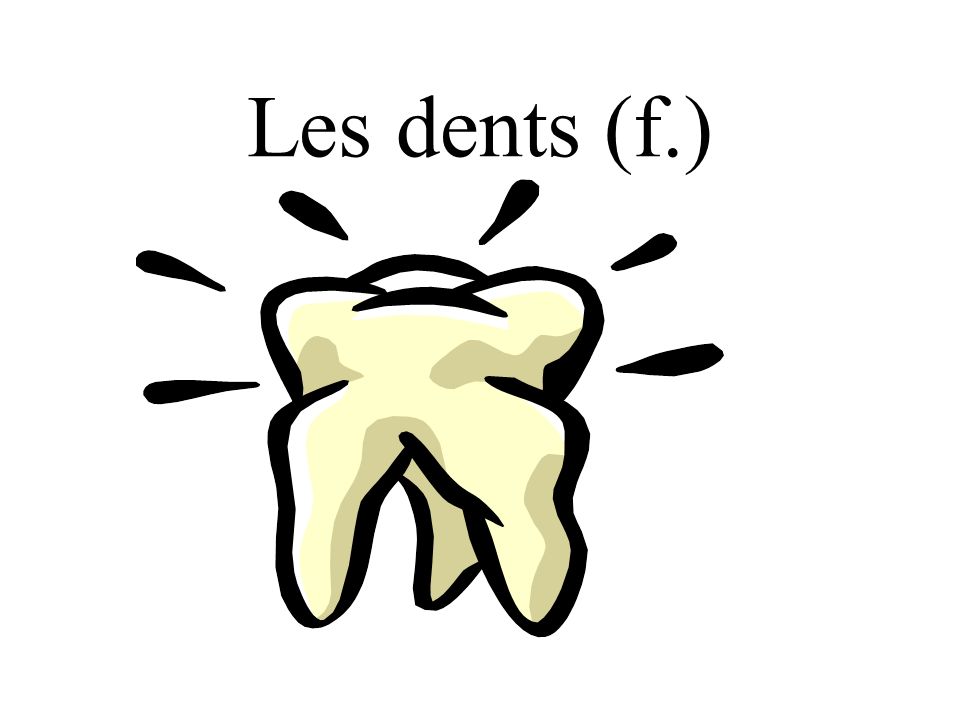 Les dents (f.)