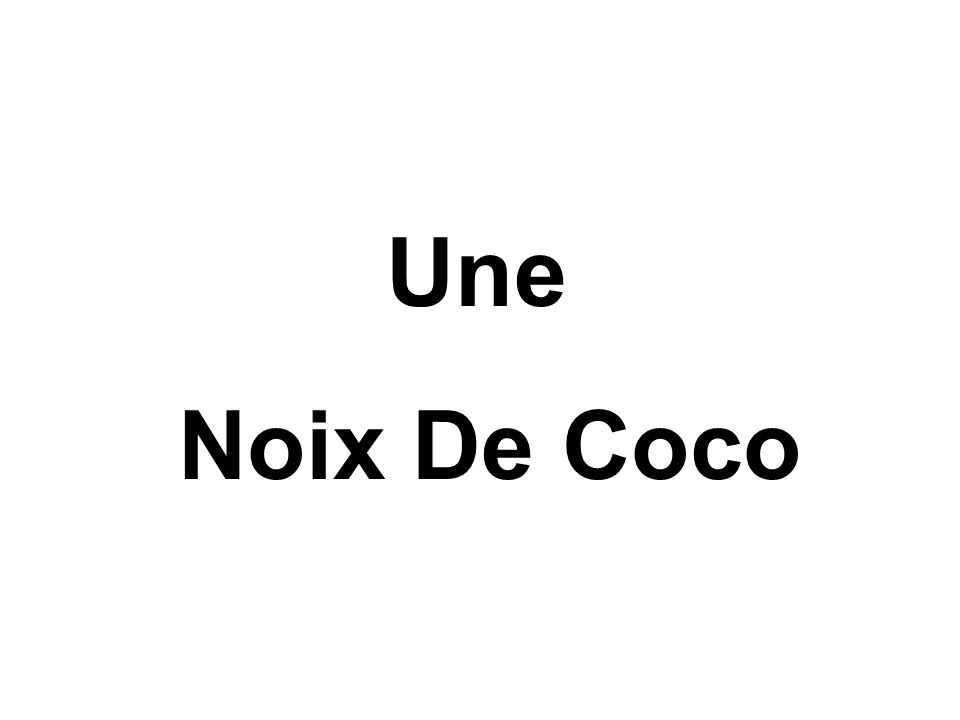 Une Noix De Coco