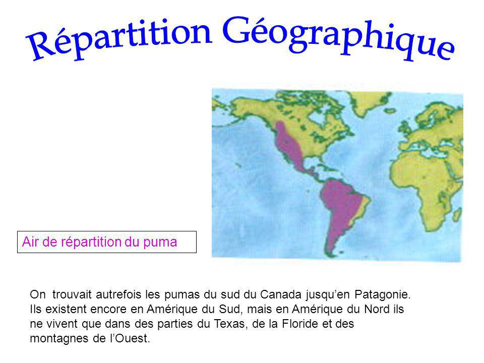 Répartition Géographique