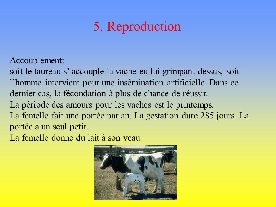 5. Reproduction