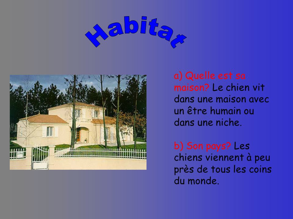 Habitat a) Quelle est sa maison Le chien vit dans une maison avec un être humain ou dans une niche.