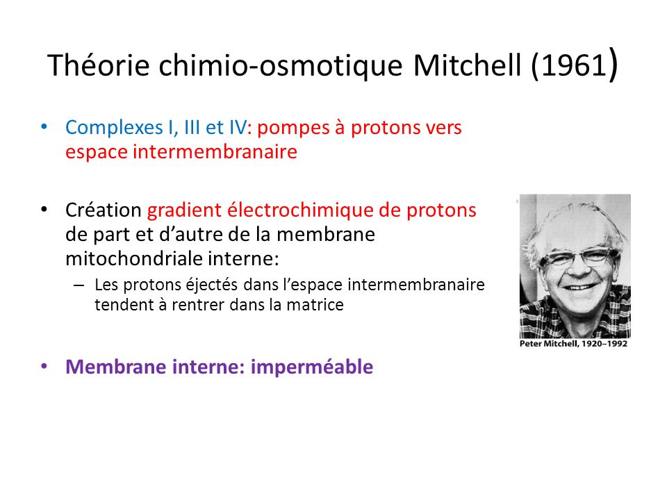 Théorie chimio-osmotique Mitchell (1961)