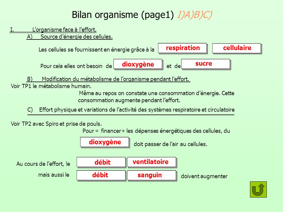 Bilan organisme (page1) I)A)B)C)